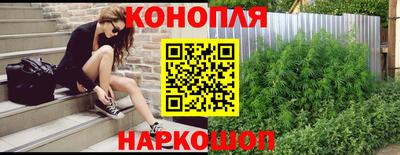 эйфоретик Бийск
