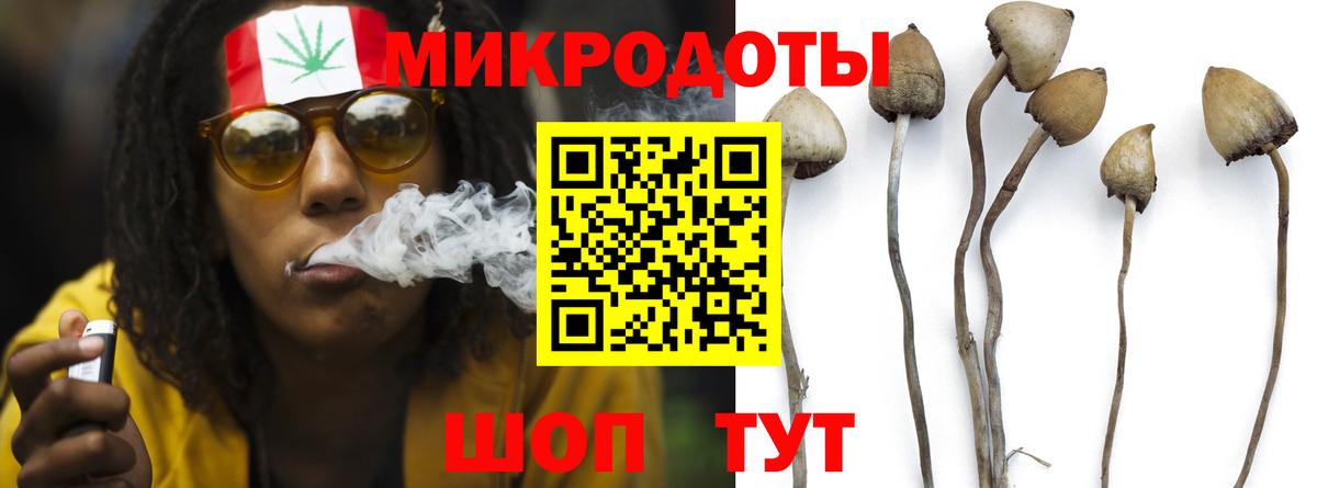 Заводоуковск  купить наркоту  Вход с VPN  Псилоцибиновые грибы Psilocybine cubensis  Псилоцибиновые грибы ЛСД 